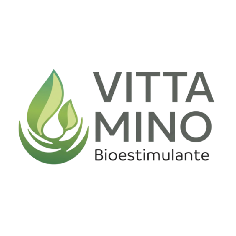 Vitta Mino